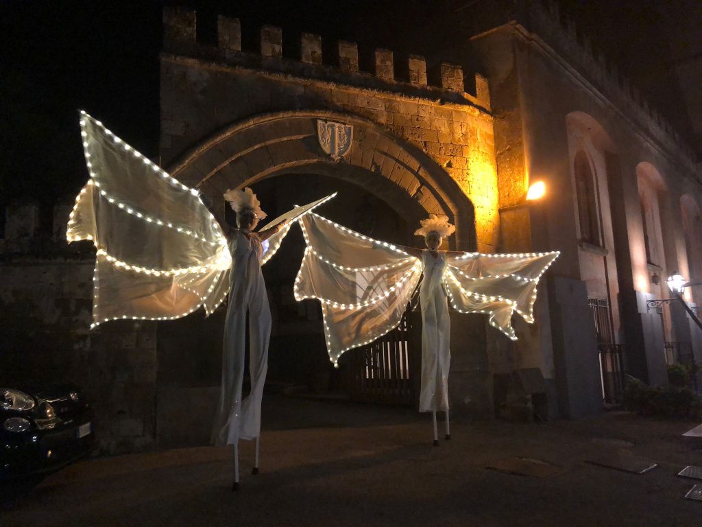 Spettacolo delle Farfalle Luminose per Sposi una performance fiabesca eseguita da Trampolieri e Danzatrici in splendidi ed elegantissimi costumi alati completamente illuminati con luci a led.