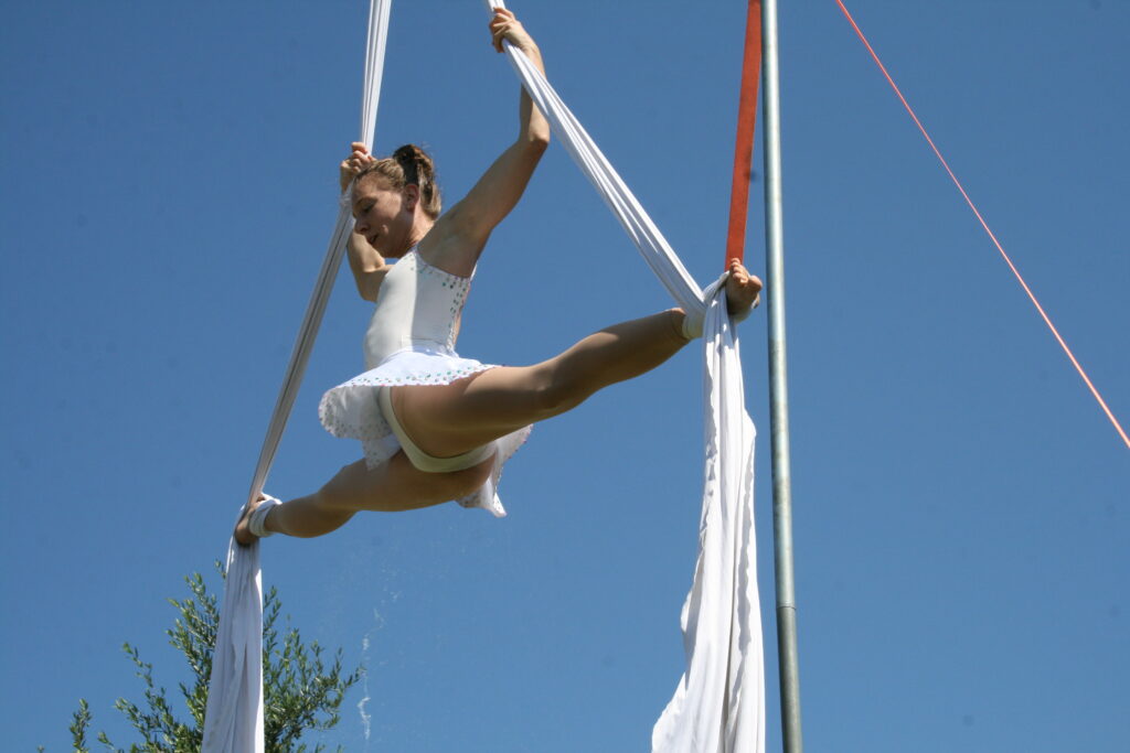 spettacolo acrobatica aerea , matrimonio a tema circo