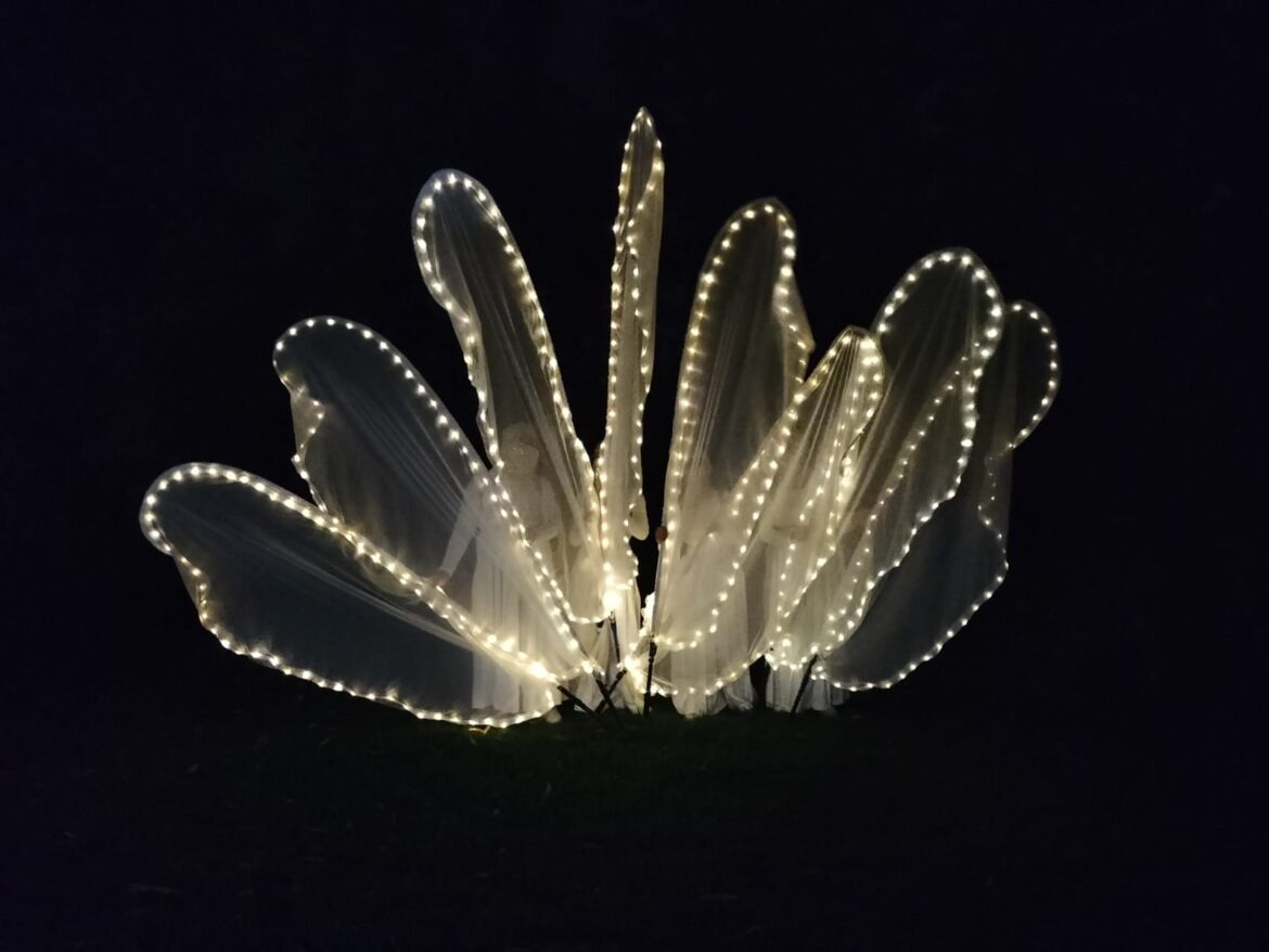 Spettacolo ITINERANTE presenze luminose