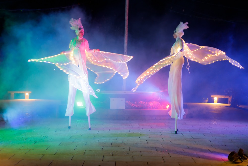 Farfalle luminose spettacolo Matrimonio Lecce