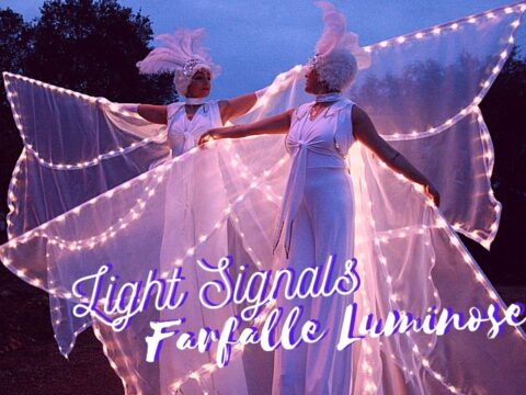 Farfalle luminose Puglia