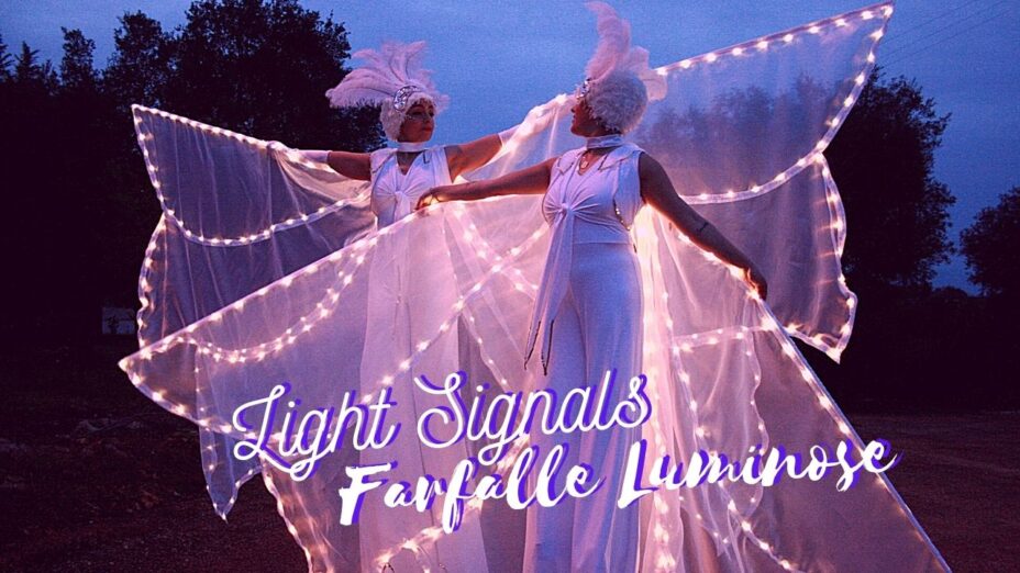 Farfalle luminose Puglia