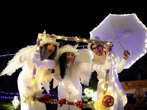 TUTTO IL CIRCO CHE CERCHI IN PUGLIA