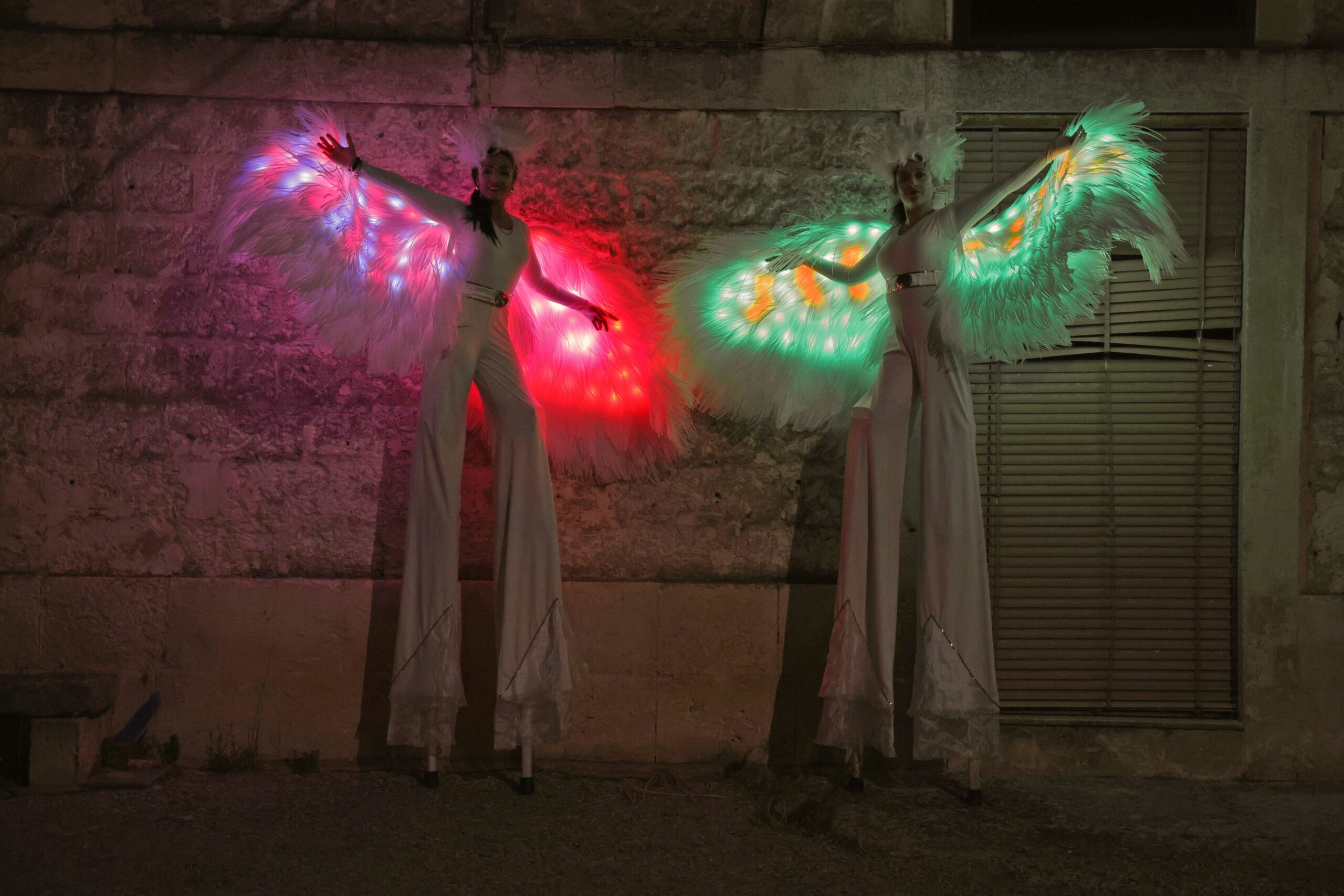 light-signals-2.0-viola-verde